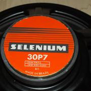 Selenium 12" hangszóró