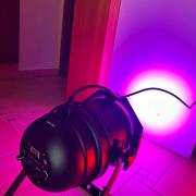 CHAUVET LED PAR36 TRI-B