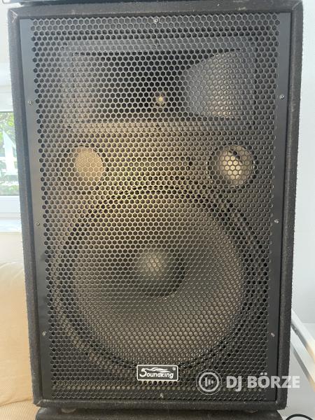 Soundking J215 + AA600J