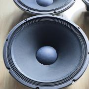 Electro-Voice EVM 15B OEM 15” Vintage Mèlyhangszóró