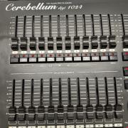 Cerebellum Digi 1024