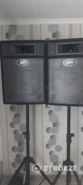 Peavey Pro15