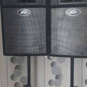 Peavey Pro15