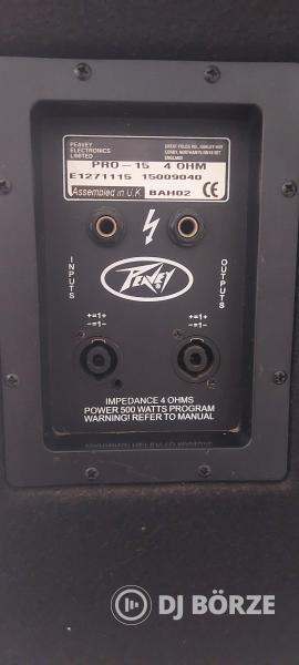 Peavey Pro15