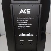 ACE PBN-12