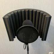 MIC Setup