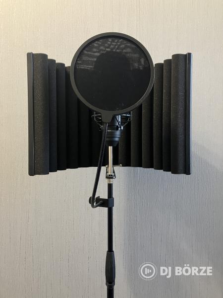 MIC Setup