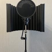 MIC Setup