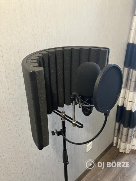 MIC Setup