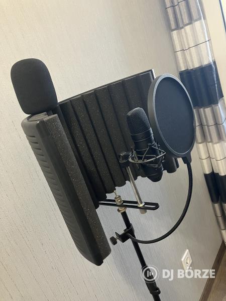 MIC Setup