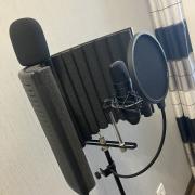 MIC Setup