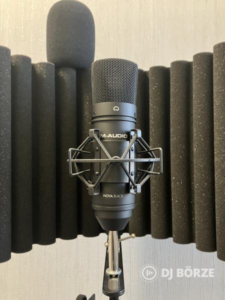 MIC Setup