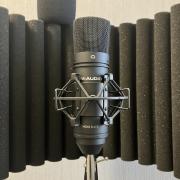 MIC Setup
