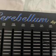Celerebbul Joy