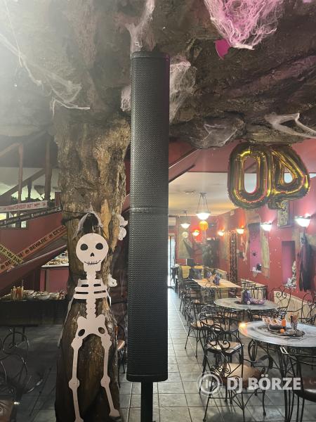 dB Technologies ES1002