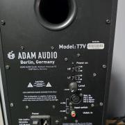 Adam audio t7v