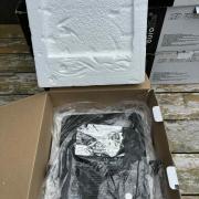 Eladó 6 db Eurolite LED FLOOR SLS-183/10 RGB LED Lámpa