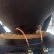 Garry 1523 Pár eladók