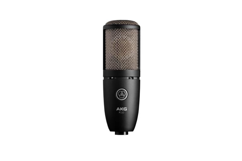 AKG - P220